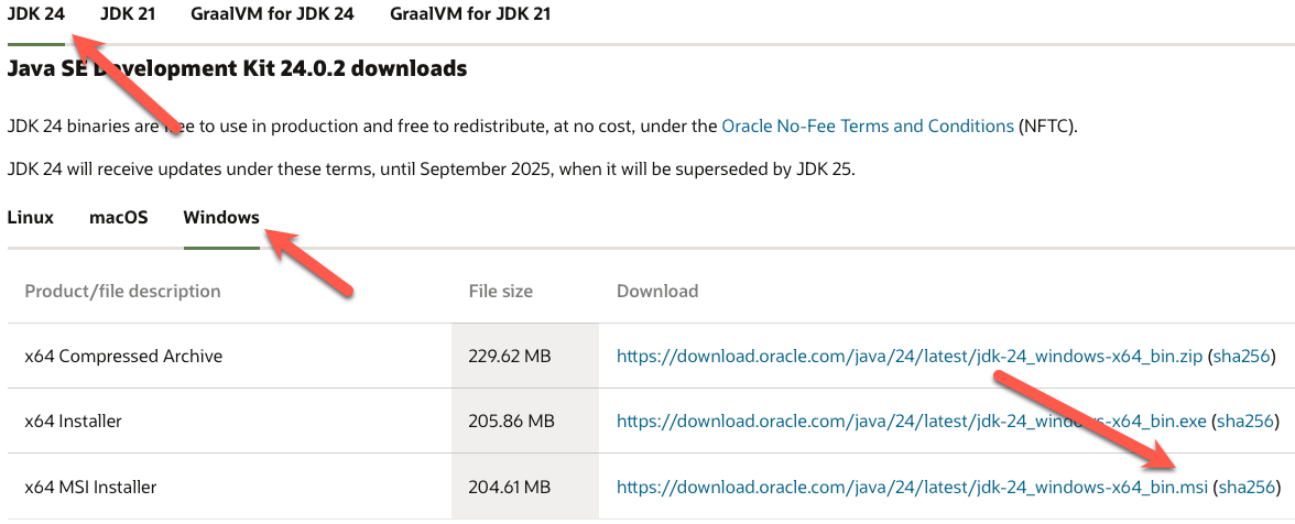 Figure 1: Java Download)